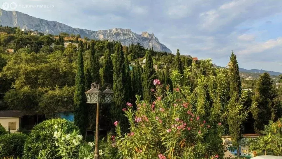 Квартира-студия: Кореиз, Алупкинское шоссе, 54В (23 м) - Фото 1