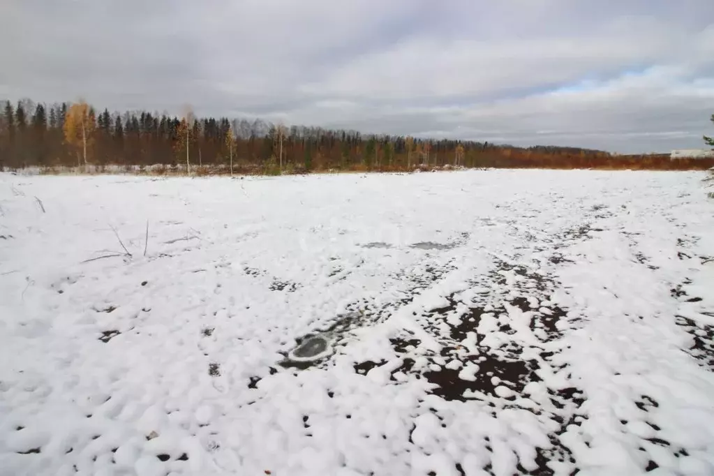 Участок в Свердловская область, Горноуральский городской округ, с. ... - Фото 1