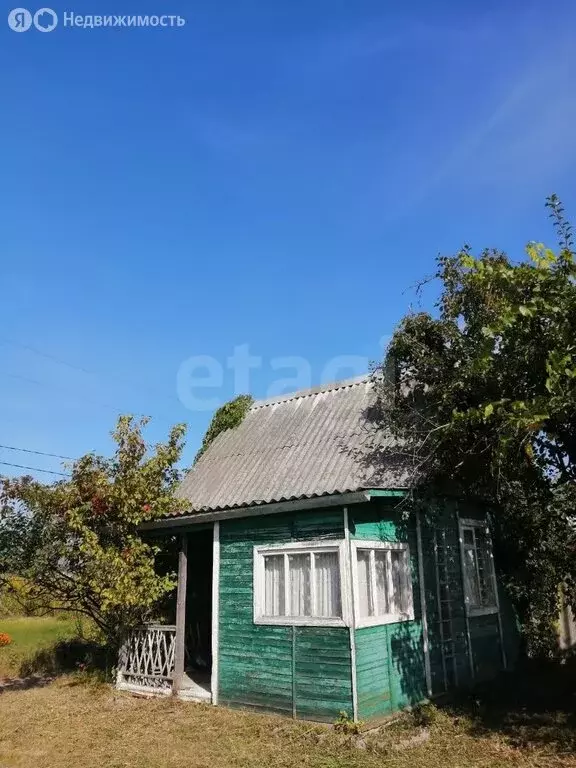 Дом в Брянская область, Жуковский муниципальный округ, садовое ... - Фото 0