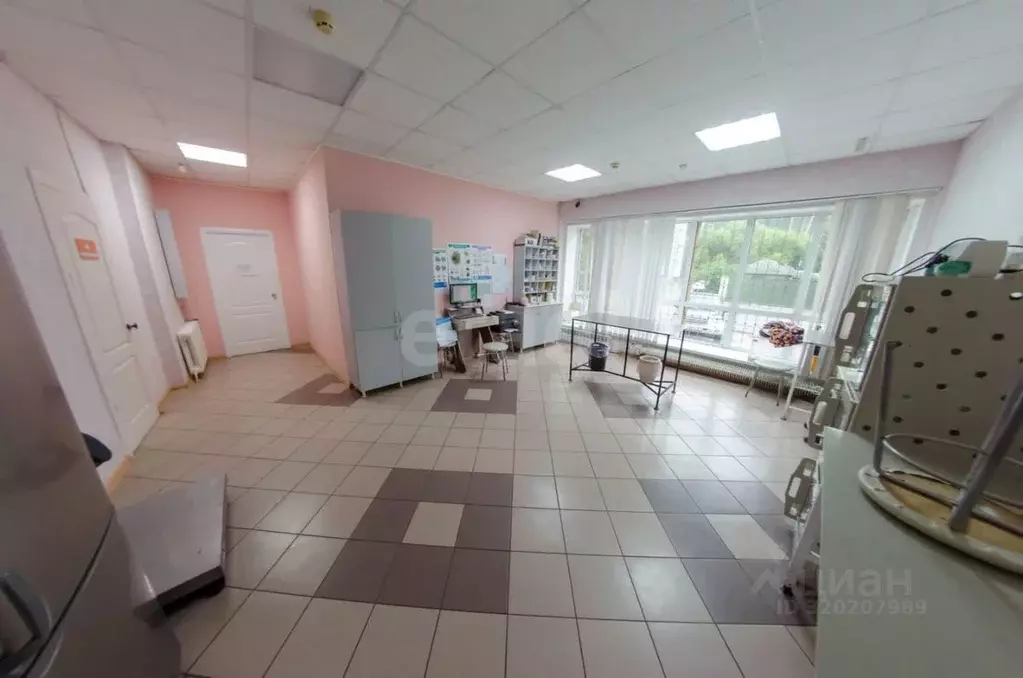 Торговая площадь в Курганская область, Шадринск ул. Ефремова, 12 (197 ... - Фото 1