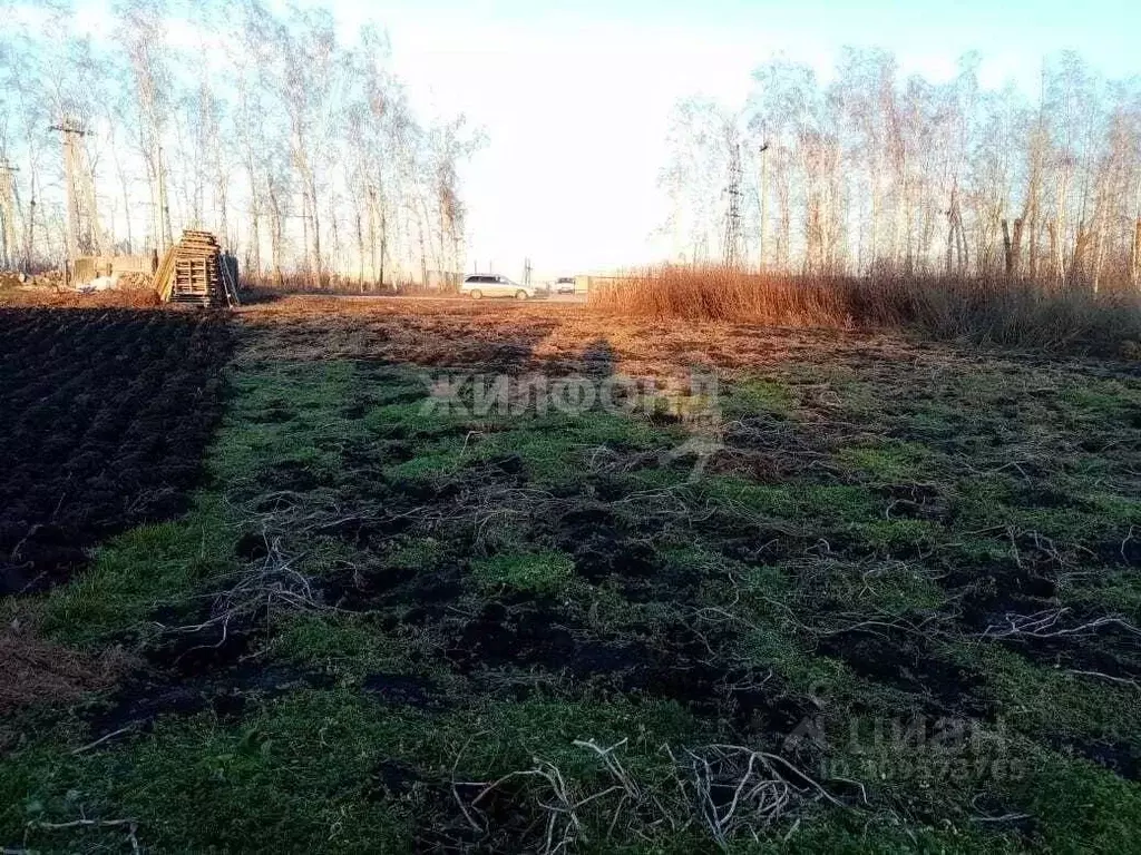 Участок в Новосибирская область, Новосибирский район, Станционный ... - Фото 0