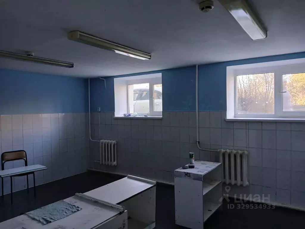 Помещение свободного назначения в Башкортостан, Баймак ул. Мира, 1 (47 ... - Фото 2