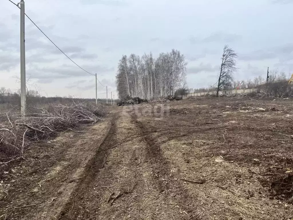 Участок в Курская область, Курский район, Нижнемедведицкий сельсовет, ... - Фото 0