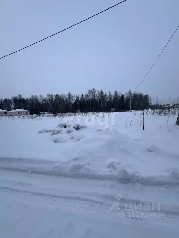 Участок в Томская область, Томский район, Слобода Вольная ДНП ул. ... - Фото 1