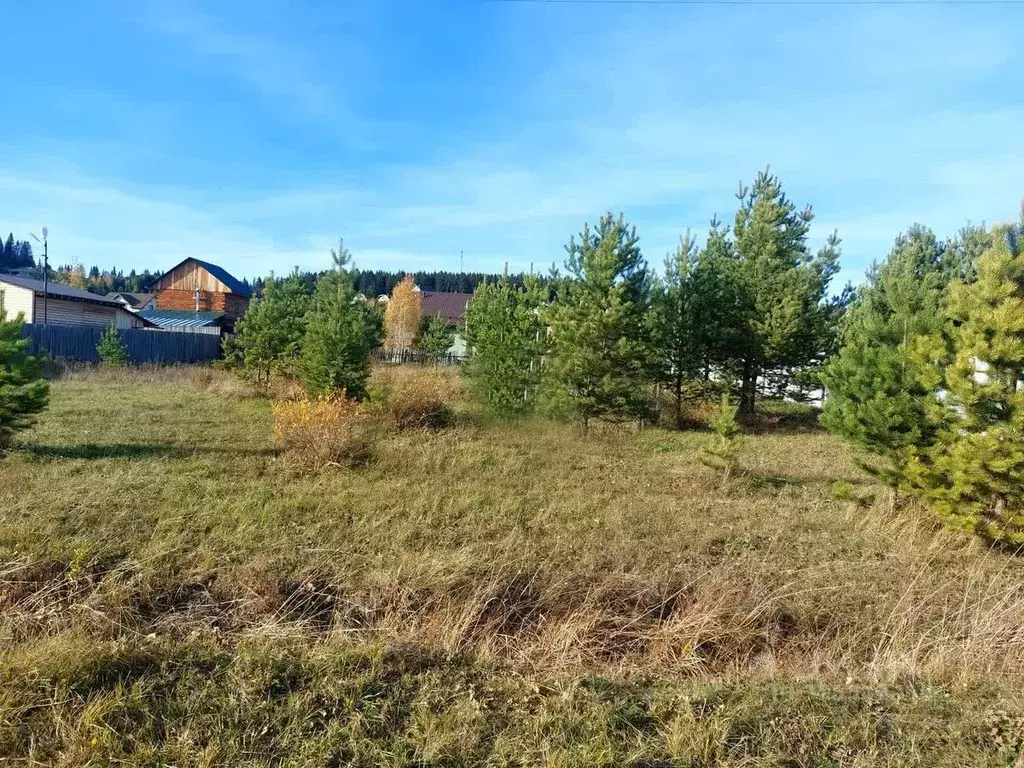 Участок в Московская область, Чехов муниципальный округ, с. Дубна  ... - Фото 1