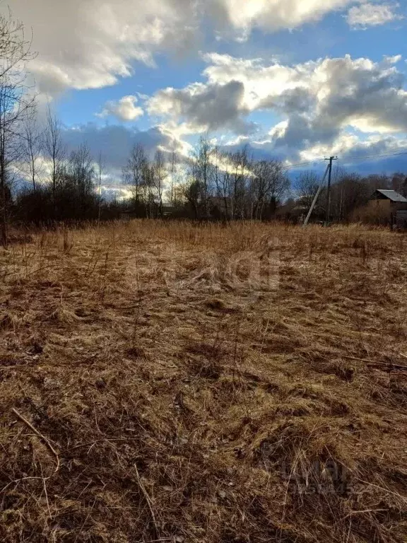 Участок в Московская область, Богородский городской округ, д. ... - Фото 1