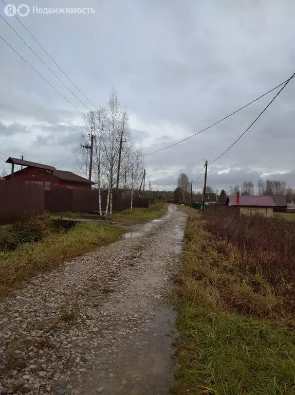 Участок в Новгородский муниципальный округ, Савинское сельское ... - Фото 1