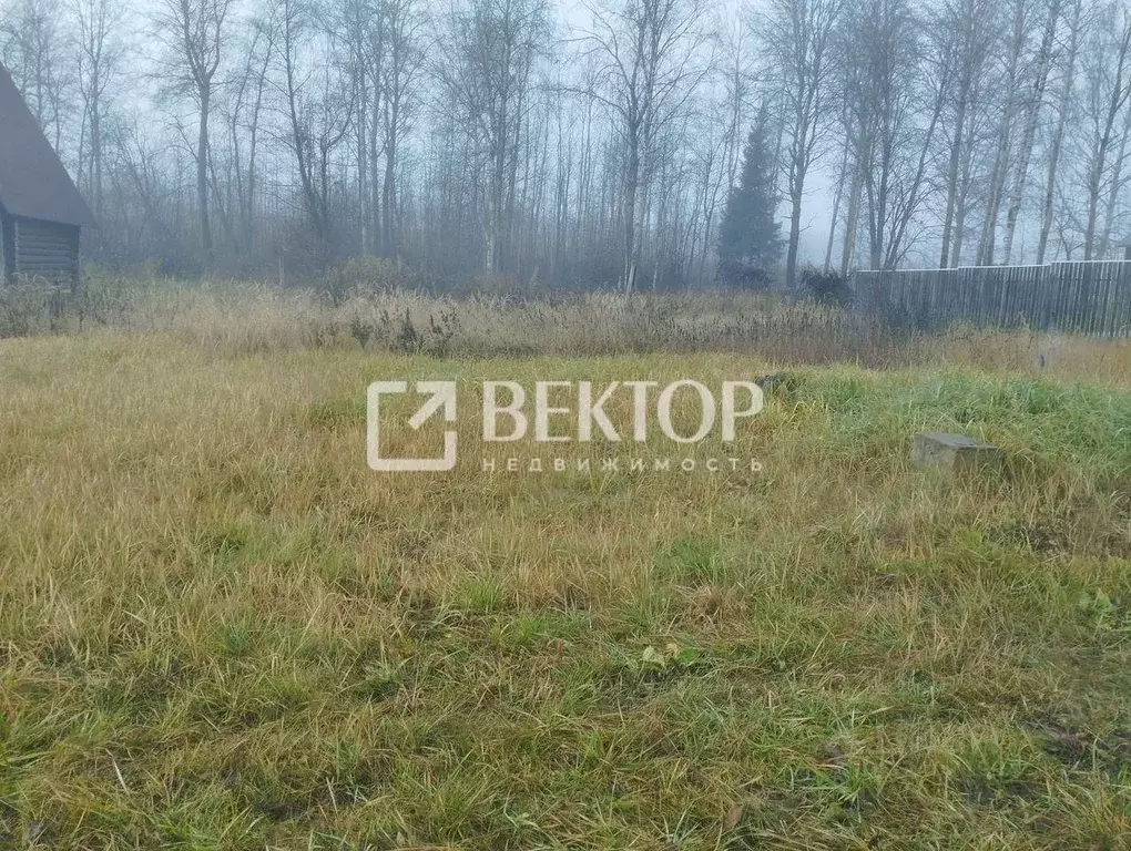 Участок в Костромская область, Костромской район, Самсоновское с/пос, ... - Фото 1