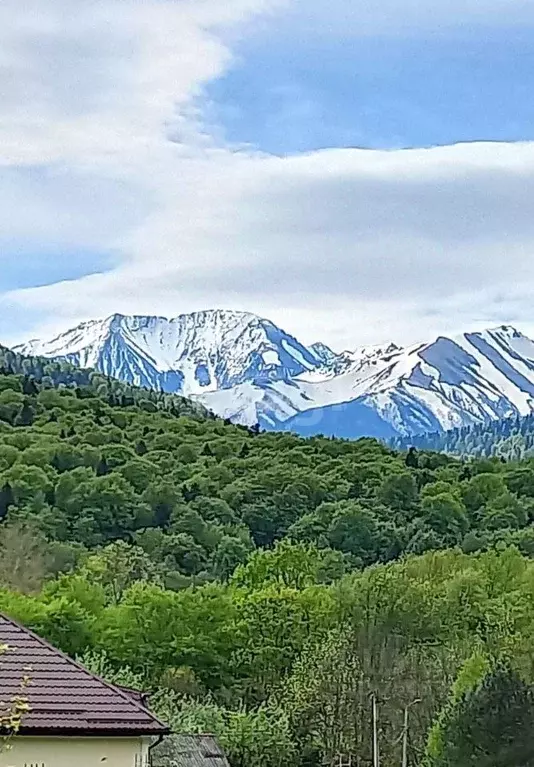 Участок в Адыгея, Майкопский район, Даховское с/пос, пос. Гузерипль ... - Фото 1