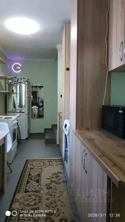 Студия Крым, Черноморский район, с. Межводное ул. Южная, 6 (24.9 м) - Фото 2