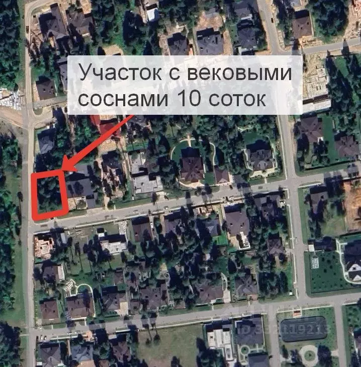 Участок в Московская область, Пушкино Чистые Пруды-3 кп, 110 (10.0 ... - Фото 2