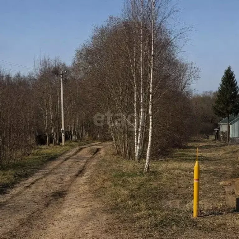 Участок в Смоленская область, Смоленский муниципальный округ, д. ... - Фото 1