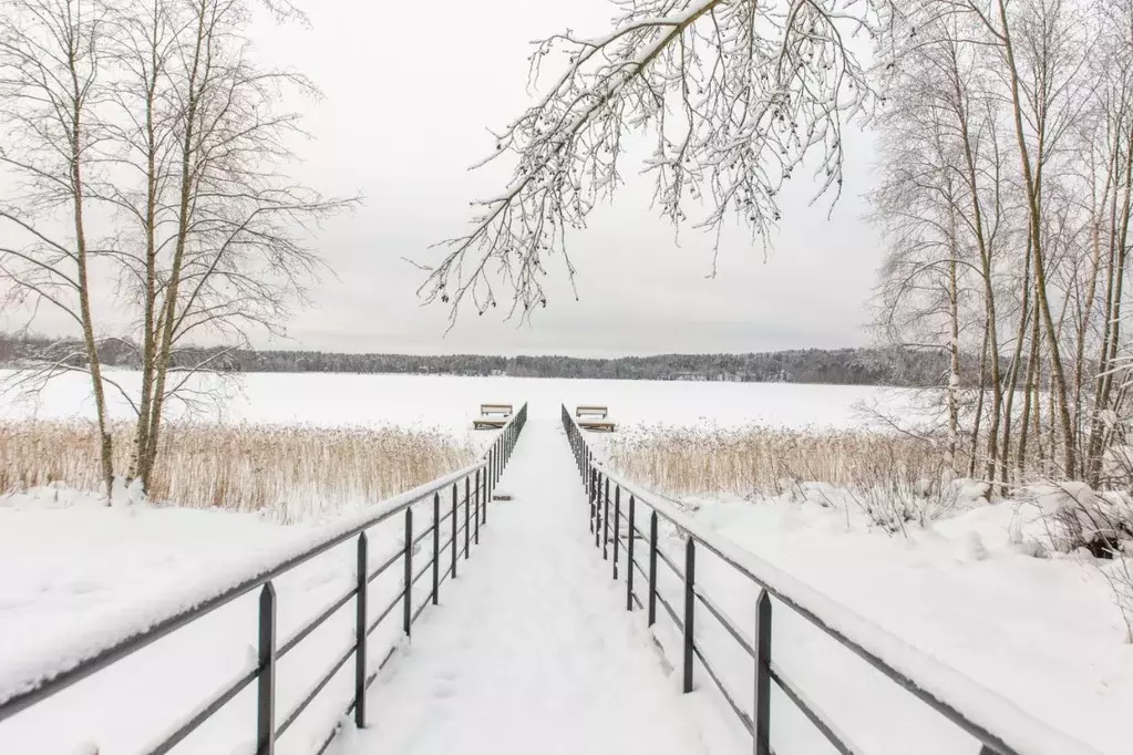 Участок в Ленинградская область, Выборгский район, Первомайское с/пос, ... - Фото 1