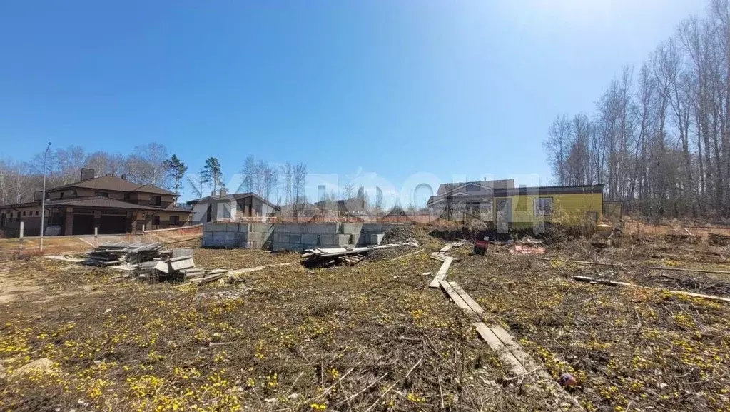 Участок в Новосибирская область, Новосибирский район, Барышевский ... - Фото 1