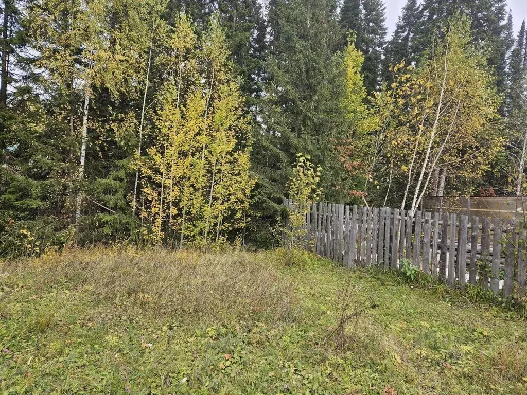 Участок в Свердловская область, Ревда городской округ, пос. Гусевка ... - Фото 0