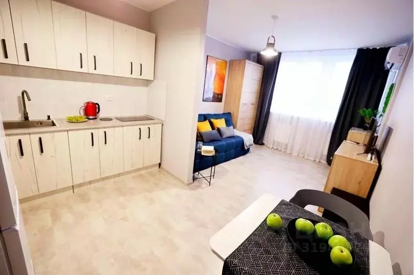 1-к кв. Свердловская область, Екатеринбург ул. Лыжников, 3 (24.0 м) - Фото 1