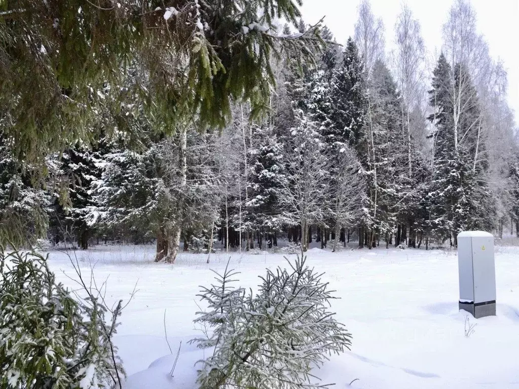 Участок в Москва пос. Птичное, ул. Зеленая (6.0 сот.) - Фото 1