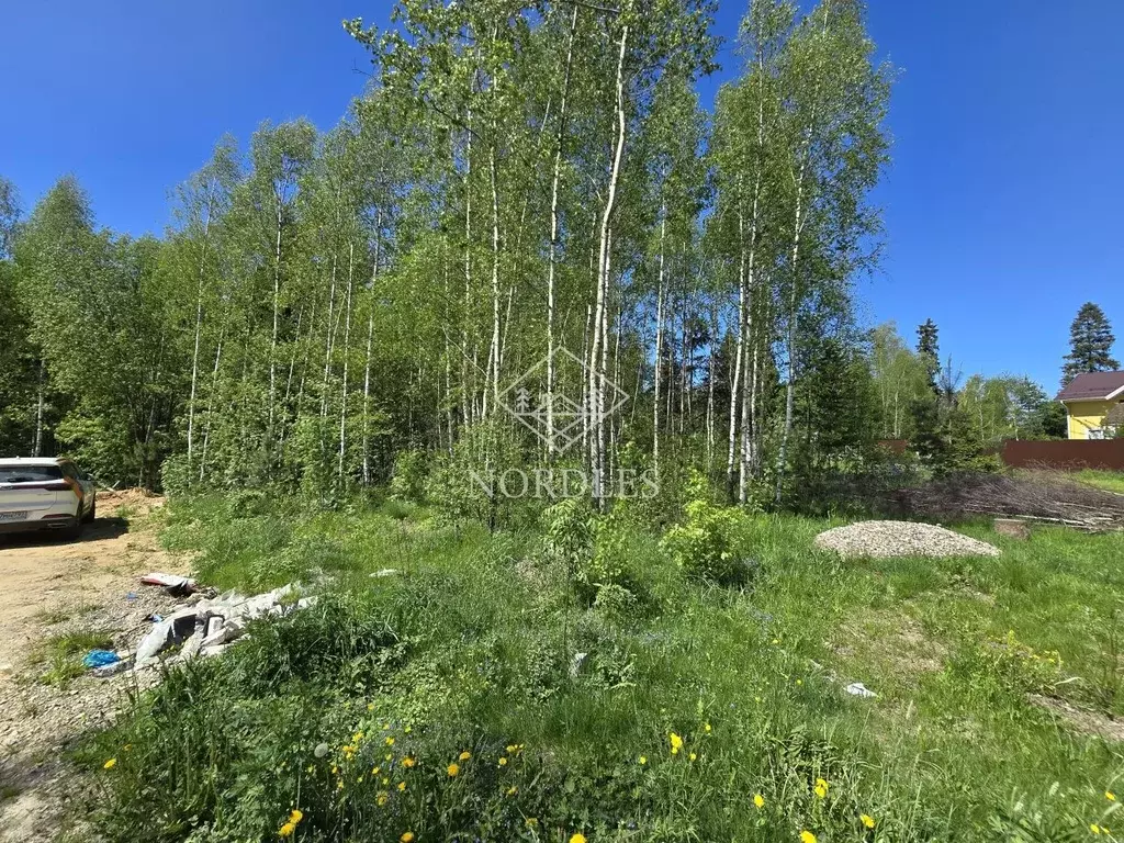 Участок в Московская область, Щелково городской округ, Снежная тер. ... - Фото 2