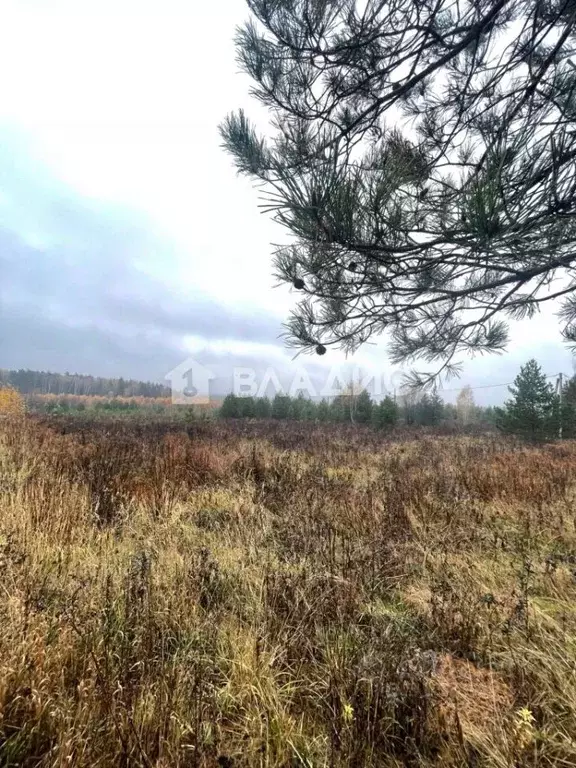 Участок в Владимирская область, Судогодский район, Лавровское ... - Фото 0