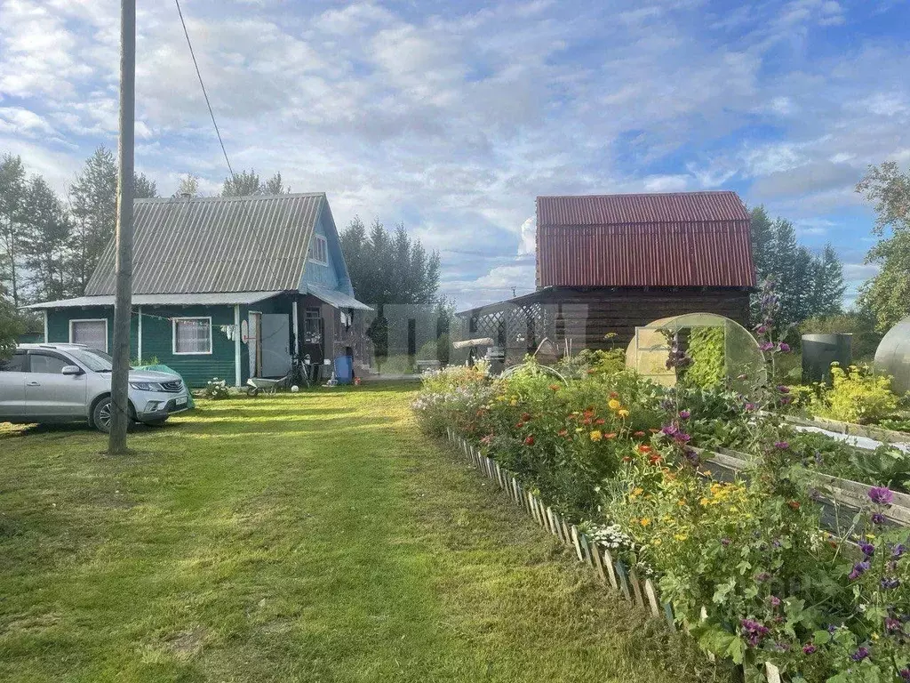 Дом в Вологодская область, Сокольский муниципальный округ, д. ... - Фото 0