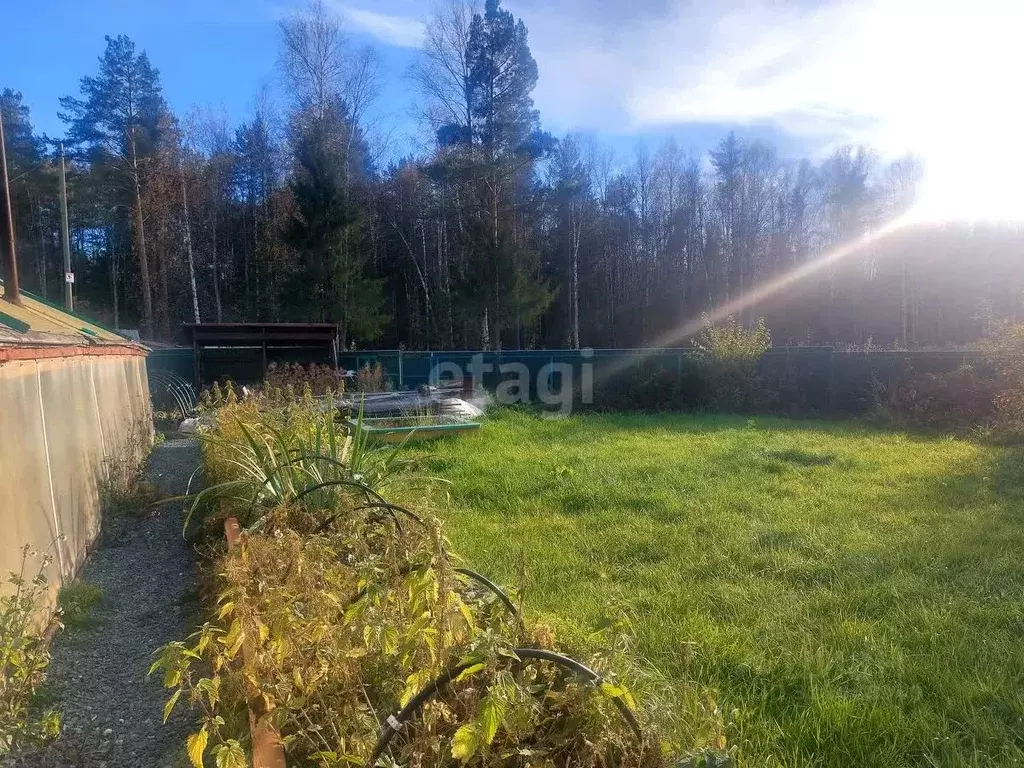 Участок в Свердловская область, Кушва  (12.4 сот.) - Фото 1