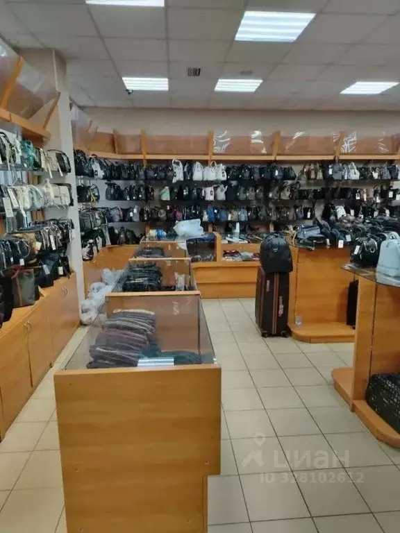 Помещение свободного назначения в Коми, Сыктывкар просп. Бумажников, ... - Фото 1