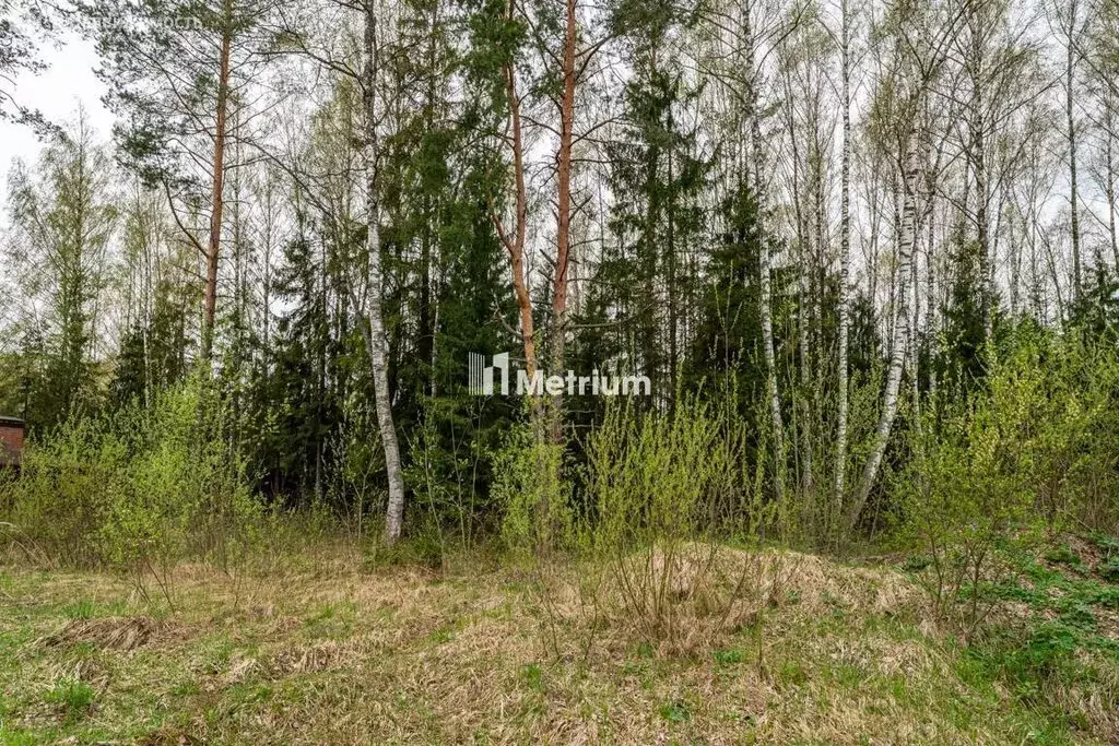 Участок в Конаково, Пригородная улица (40 м) - Фото 1