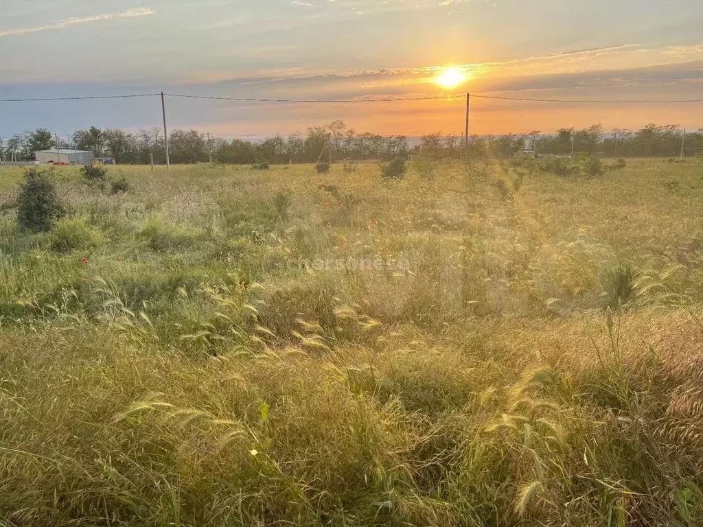 Участок 11 сот. (СНТ, ДНП) - Фото 0
