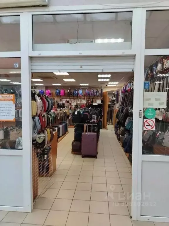 Помещение свободного назначения в Коми, Сыктывкар просп. Бумажников, ... - Фото 2