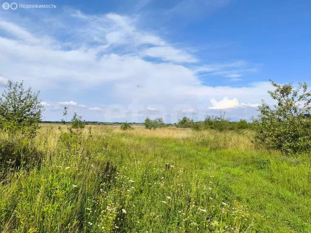 Участок в посёлок Луговое, Яблочная улица (8 м) - Фото 2