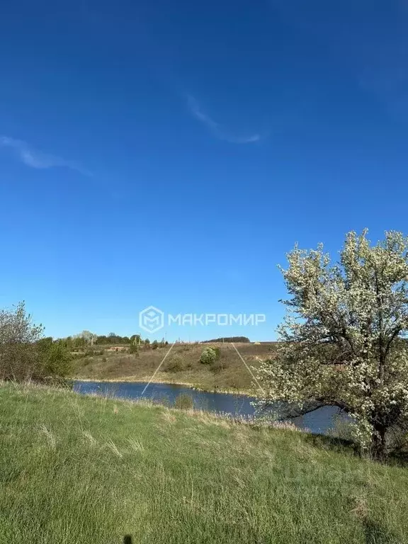 Участок в Орловская область, Орловский муниципальный округ, д. Спицино ... - Фото 1