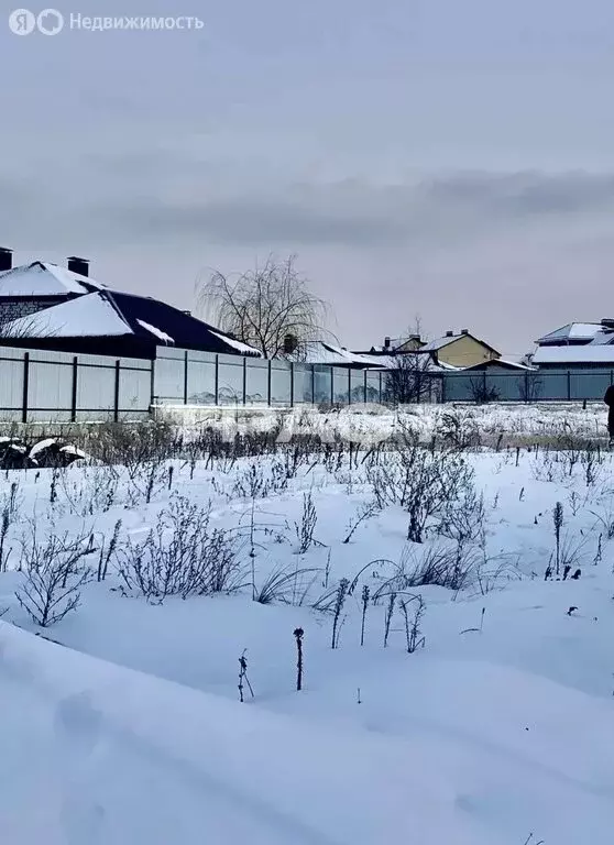 Участок в Рамонский район, село Ямное (12 м) - Фото 2