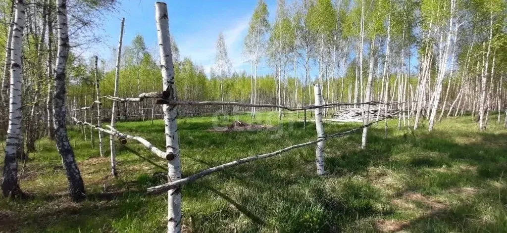 Участок в Калужская область, Калуга городской округ, д. Юрьевка  (15.0 ... - Фото 2