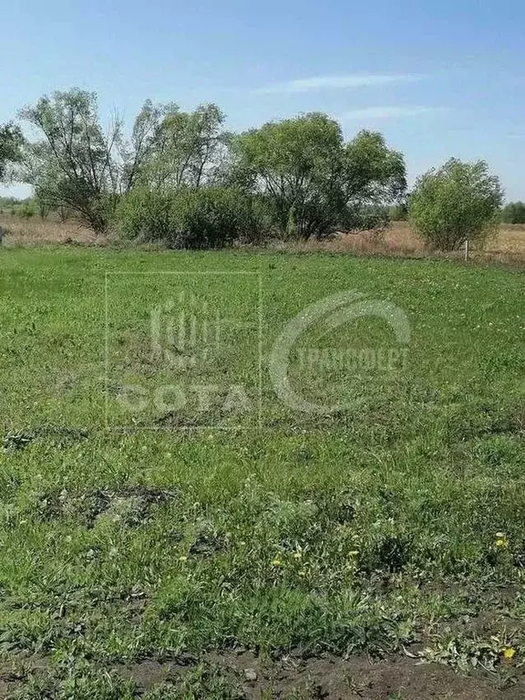 Участок в Воронежская область, Новоусманский район, Усманское 1-е ... - Фото 2