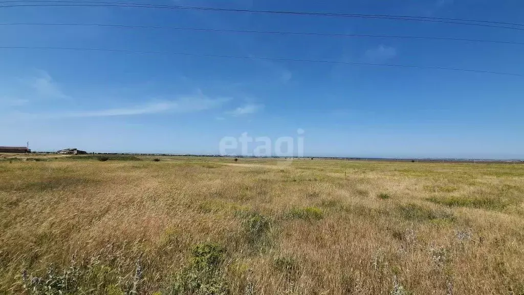 Участок в Крым, Черноморский район, Межводненское с/пос, с. Снежное ... - Фото 0