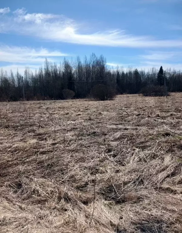Участок в Ленинградская область, Выборгский район, Советское городское ... - Фото 2