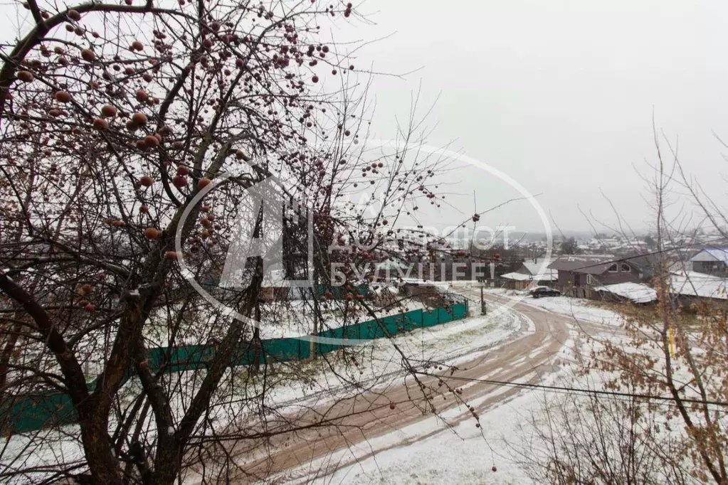 2-к кв. Пермский край, Чайковский городской округ, с. Фоки ул. ... - Фото 2