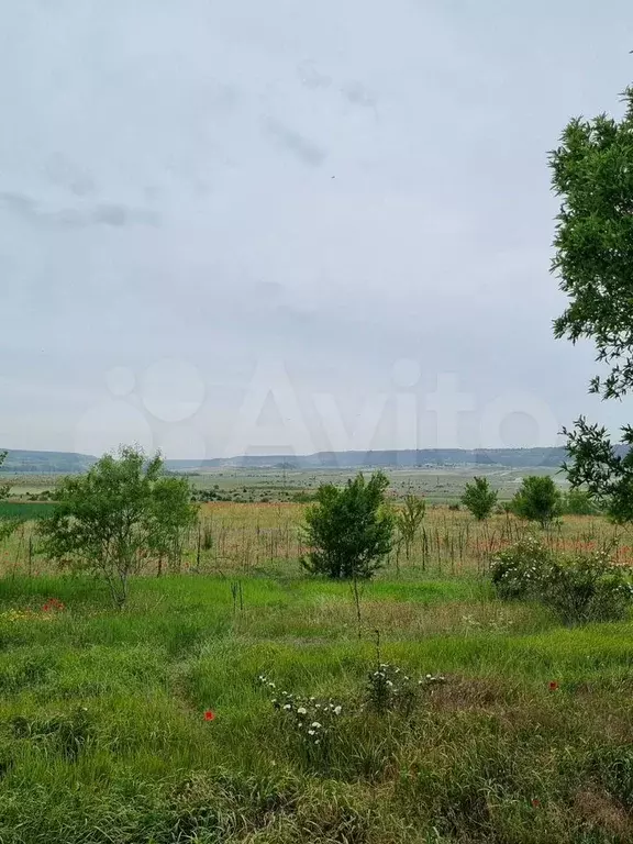 Участок 2,6 га (СНТ, ДНП) - Фото 1
