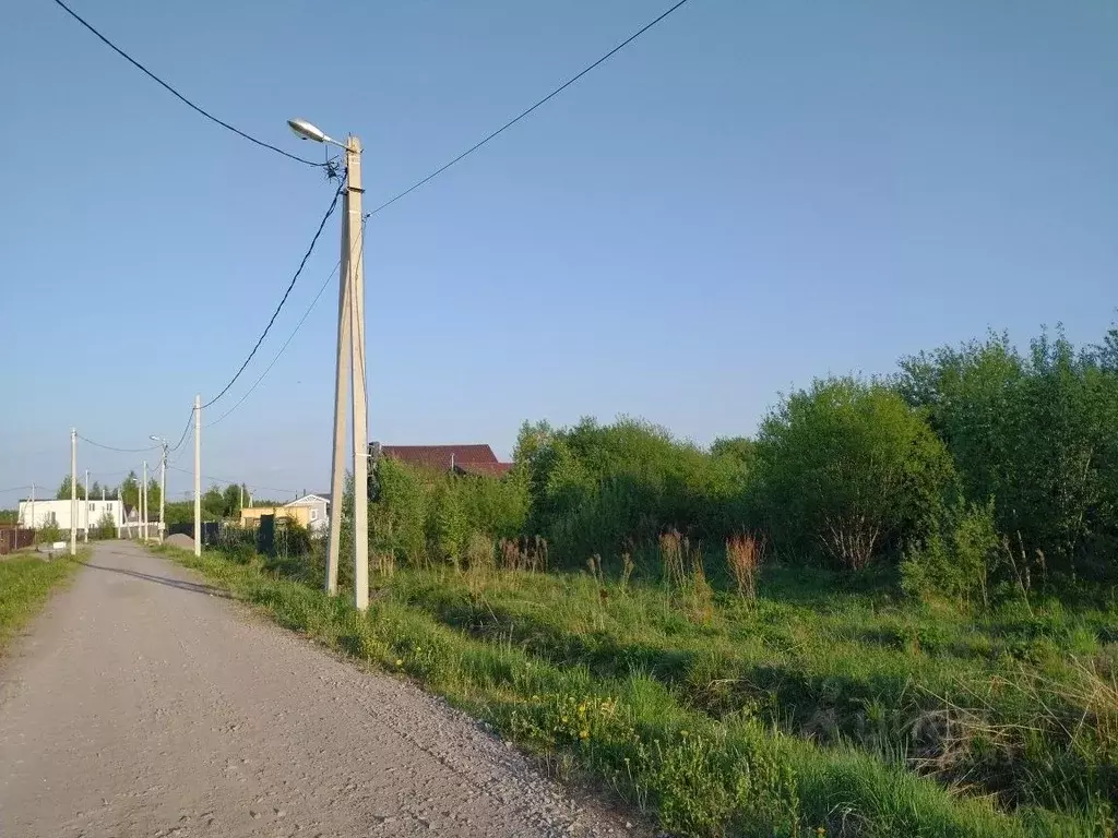 Участок в Ленинградская область, Выборгский район, Рощинское городское ... - Фото 1