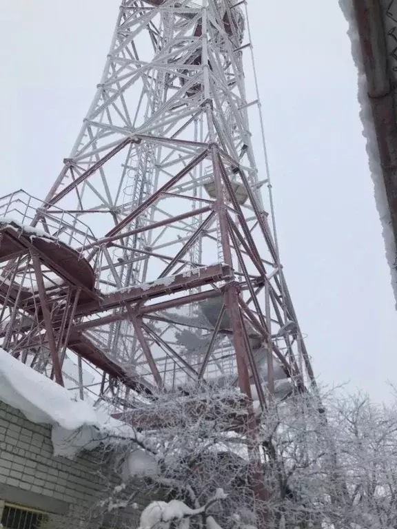 Производственное помещение в Саратовская область, с. Воскресенское  ... - Фото 1