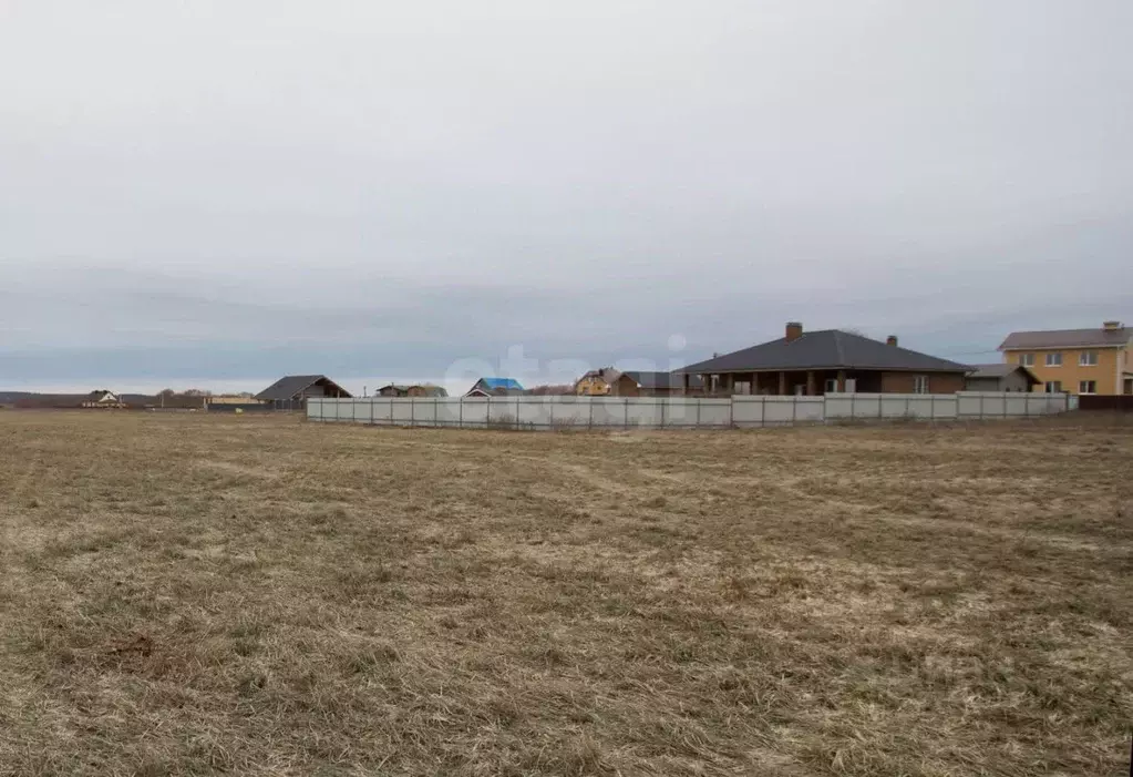 Участок в Калужская область, Дзержинский муниципальный округ, с. ... - Фото 2