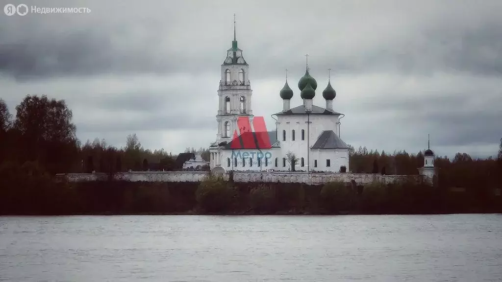 Участок в Ярославская область, сельское поселение Некрасовское, ... - Фото 0