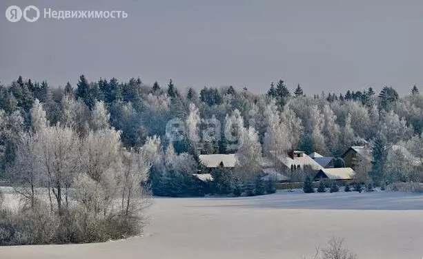 Участок в Волосовский район, Калитинское сельское поселение, деревня ... - Фото 0