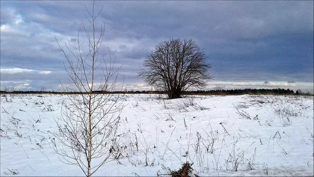 Участок в Ярославская область, Переславль-Залесский городской округ, ... - Фото 0