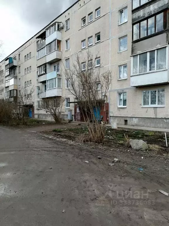 Комната Ленинградская область, Всеволожский район, пос. Щеглово 79 ... - Фото 1