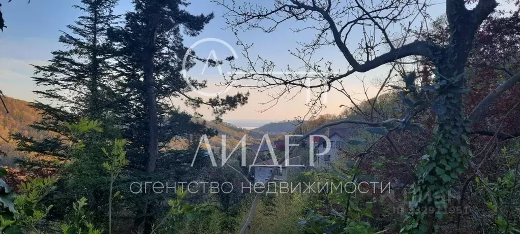 Участок в Краснодарский край, Сочи городской округ, с. Прогресс, ... - Фото 1
