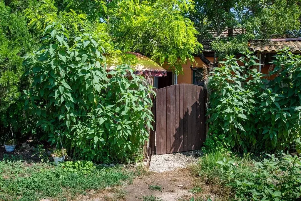 Дом в Крым, Черноморский район, Оленевское с/пос, с. Оленевка ул. ... - Фото 2