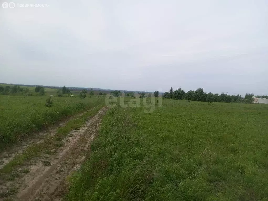 Участок в село Отрадное, Первомайская улица (10 м) - Фото 2