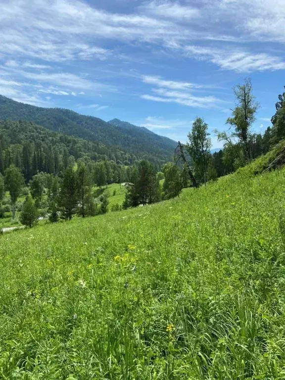 Участок в Алтай, Чемальский район, с. Еланда  (3067.78 сот.) - Фото 1