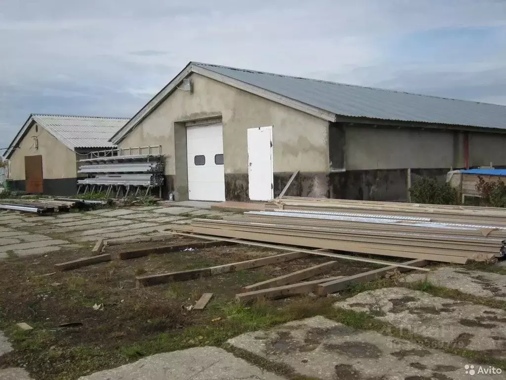 Помещение свободного назначения в Владимирская область, Кольчугинский ... - Фото 2